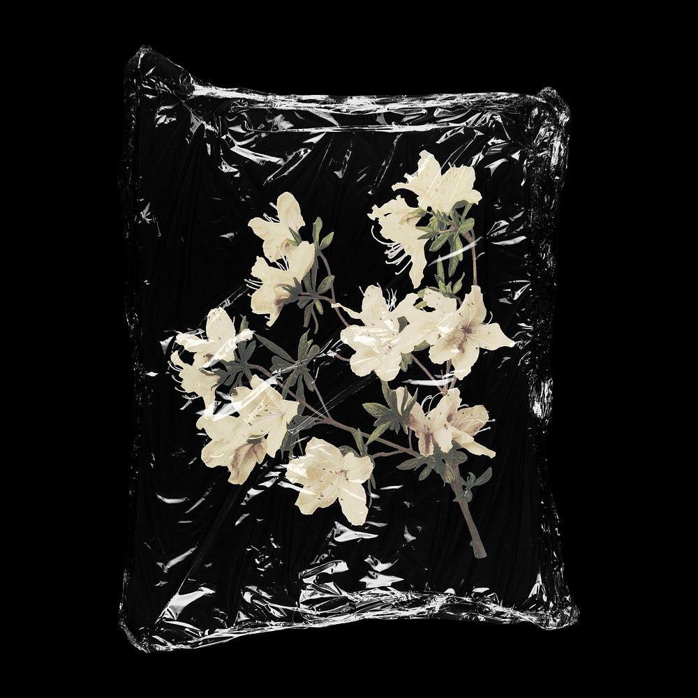 Azalea flowers in plastic bag, Spring creative concept art