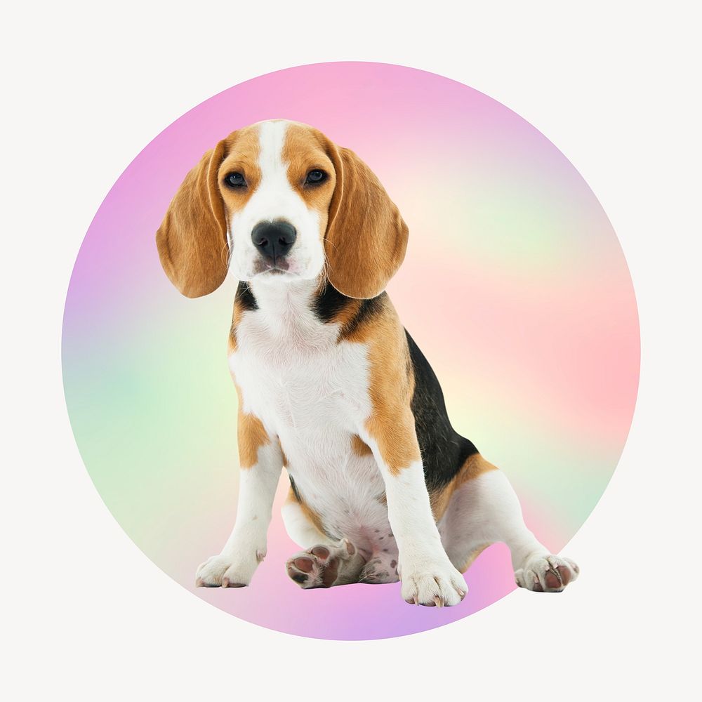 Cute beagle puppy on gradient shape, round badge clipart