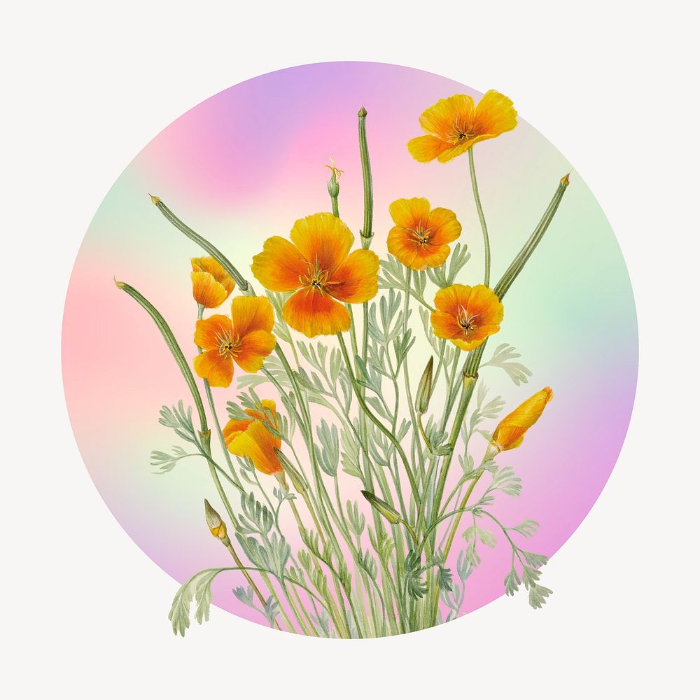 Yellow flower on gradient shape, round badge clipart