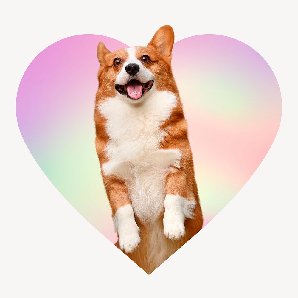 Cute Corgi dog on gradient shape, heart badge clipart