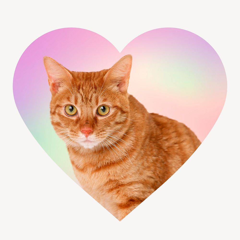 Cute tabby cat, heart badge clipart