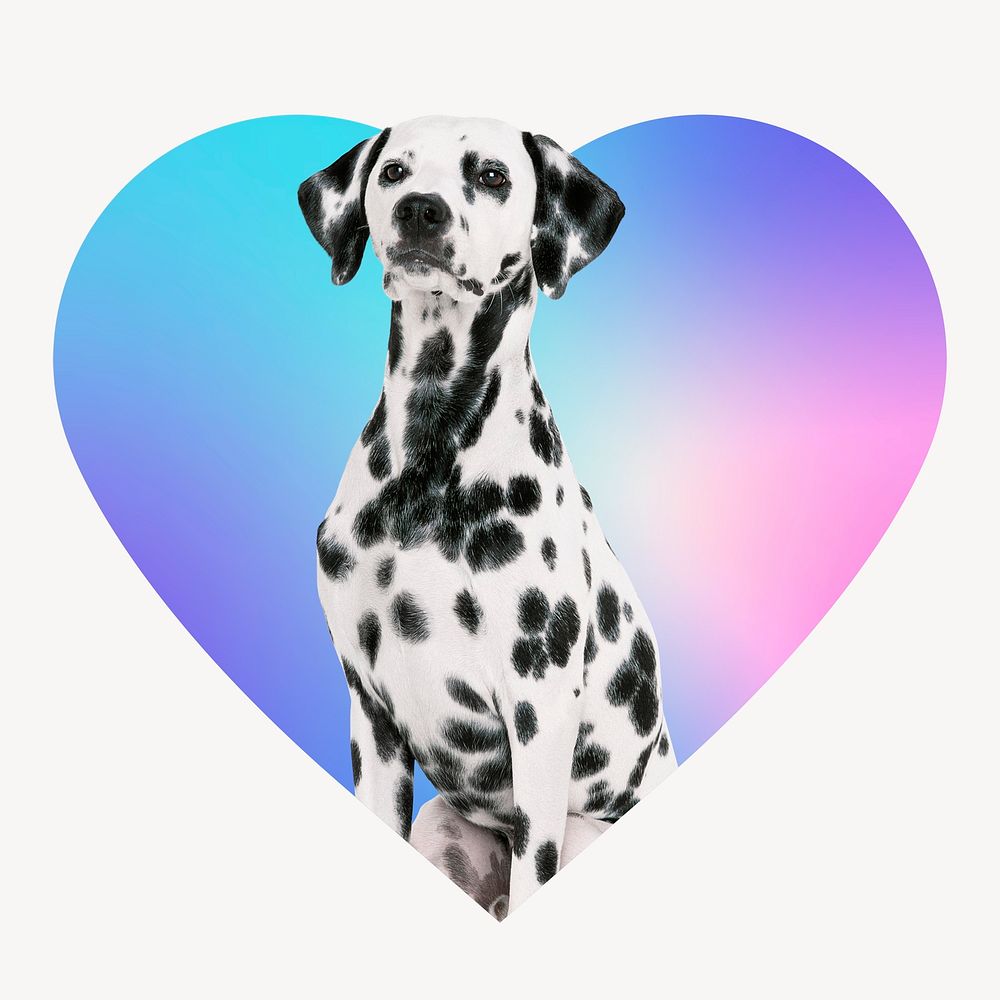 Dalmatian dog on gradient shape, heart badge clipart