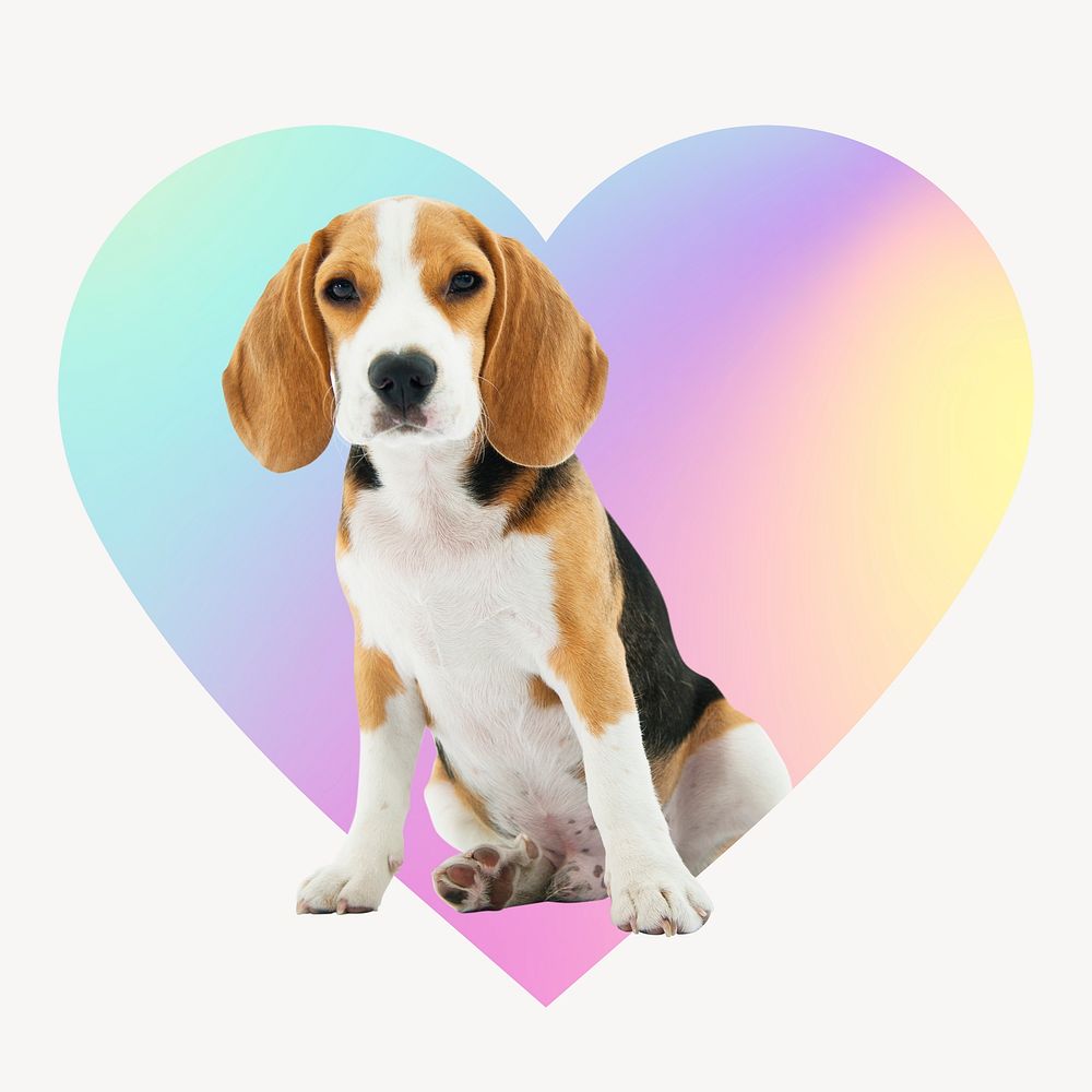 Cute beagle puppy on gradient shape, heart badge clipart