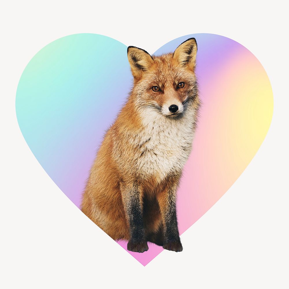 Young fox, heart badge clipart