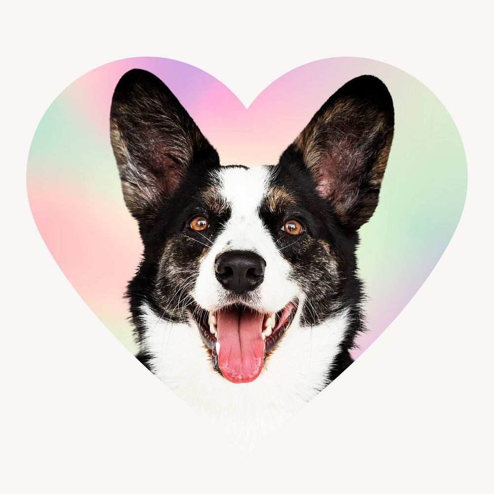 Border collie dog on gradient shape, heart badge clipart