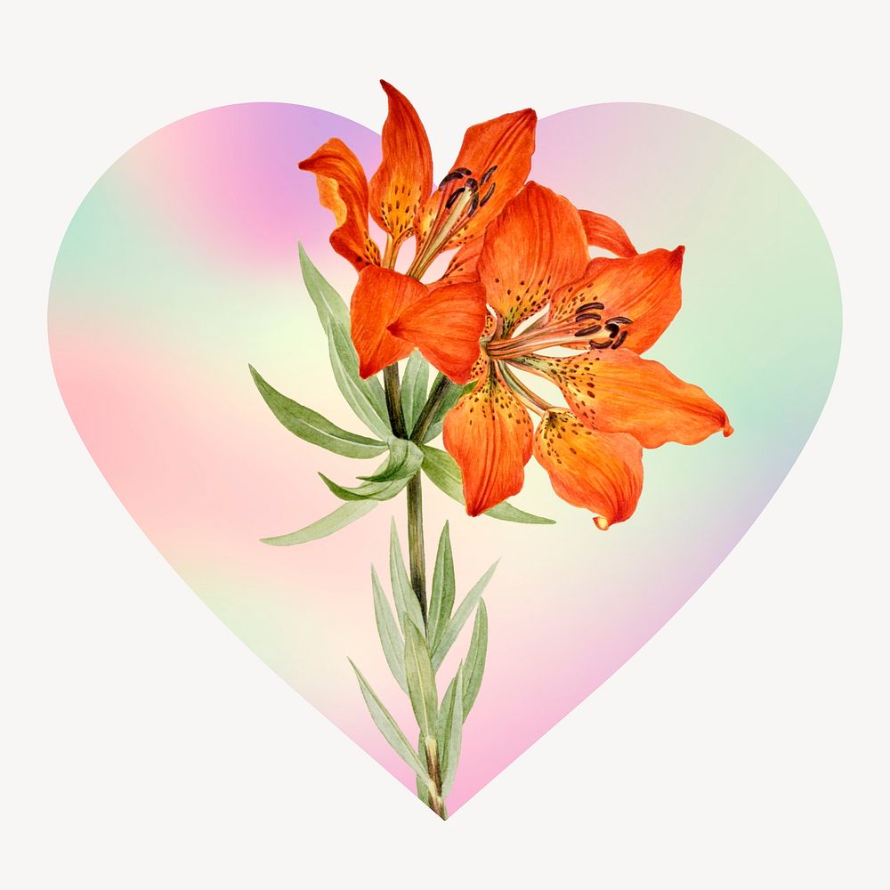 Lily flowers on gradient background, heart badge clipart, heart badge clipart