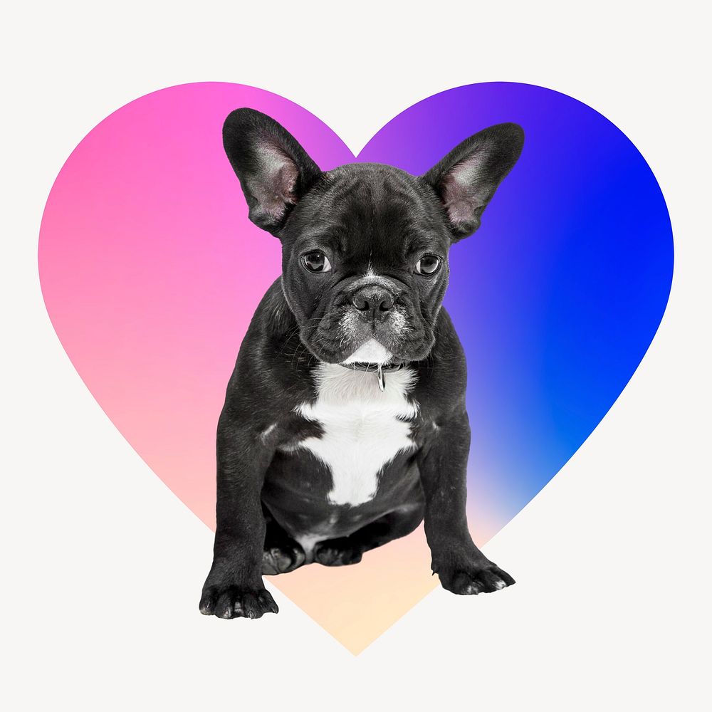 French bulldog on gradient shape, heart badge design