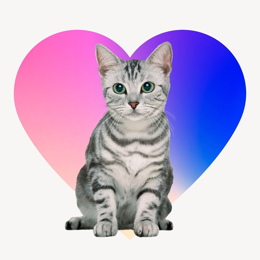 Gray tabby kitten, heart badge design
