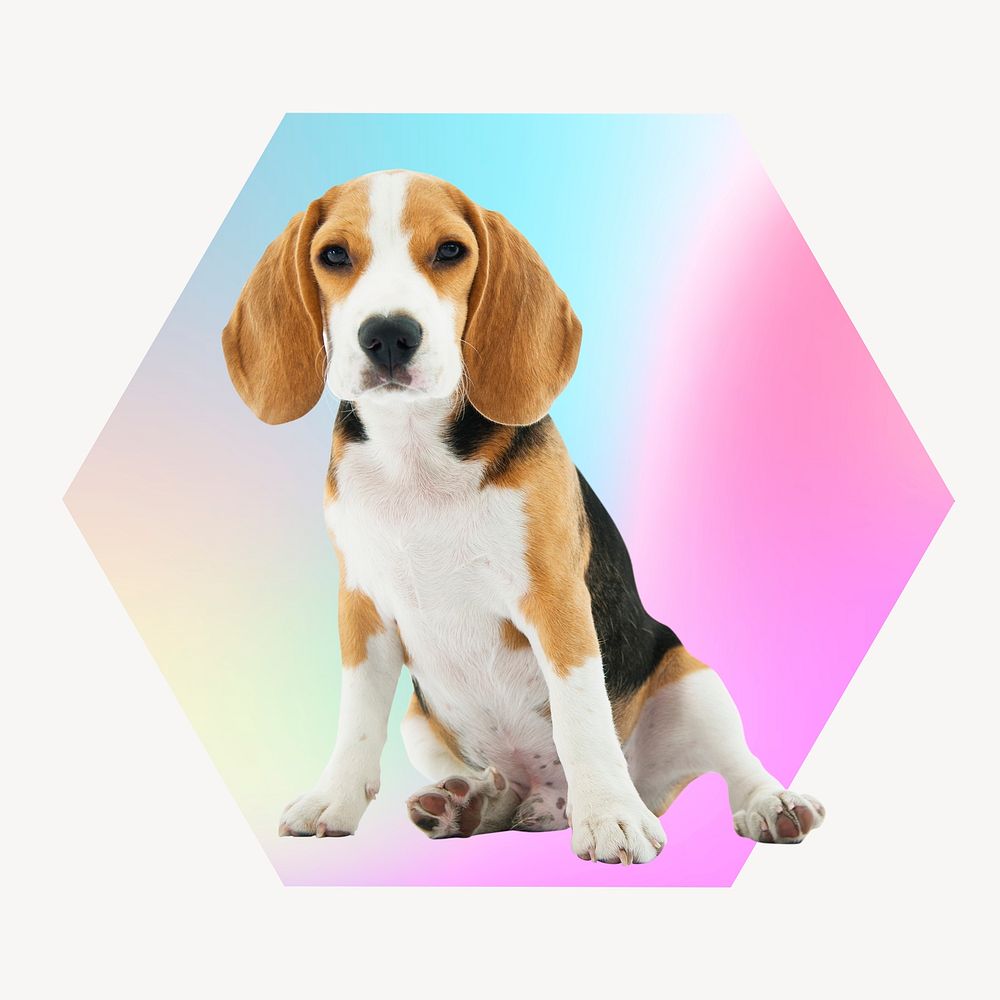 Cute beagle puppy on gradient shape, hexagon badge clipart
