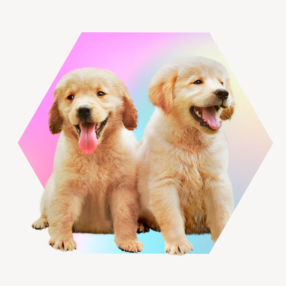 Cute golden retriever puppies on gradient shape, hexagon badge clipart