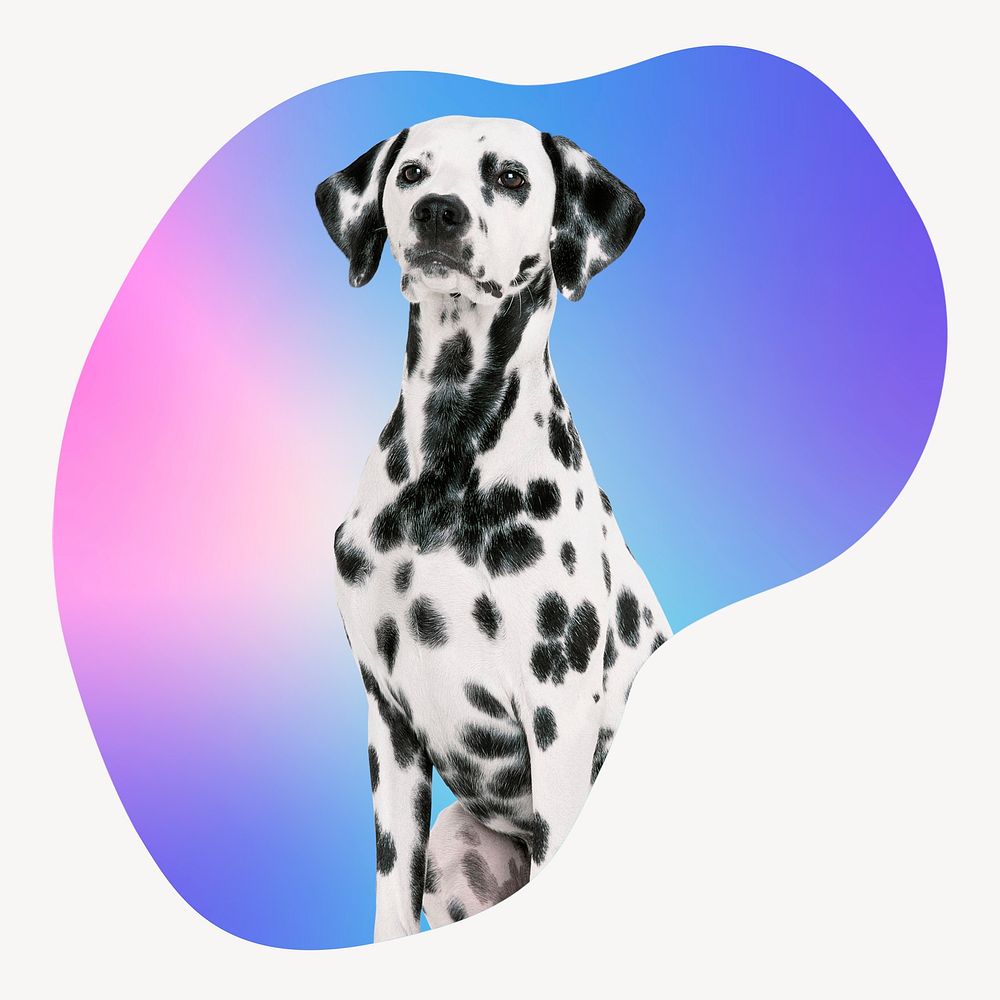 Dalmatian dog on gradient abstract shape badge