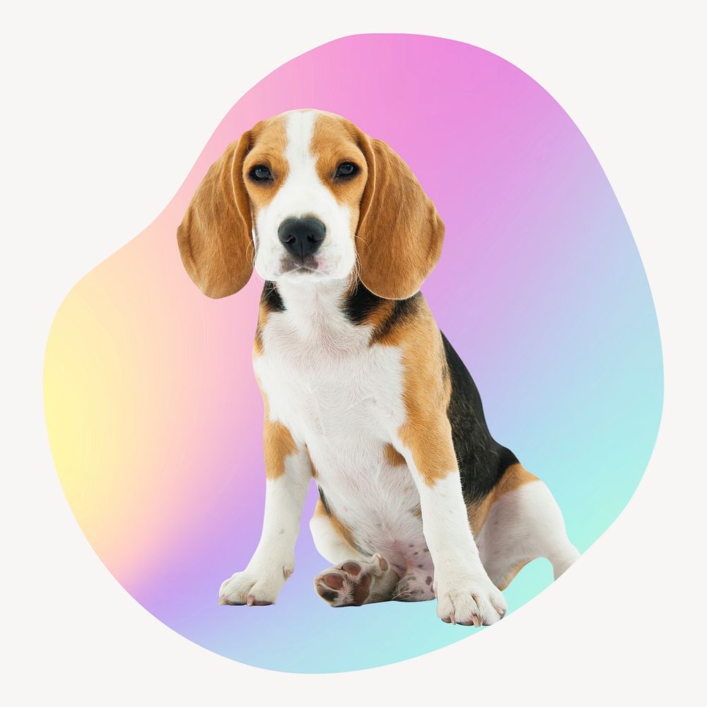Cute beagle puppy on gradient abstract shape badge