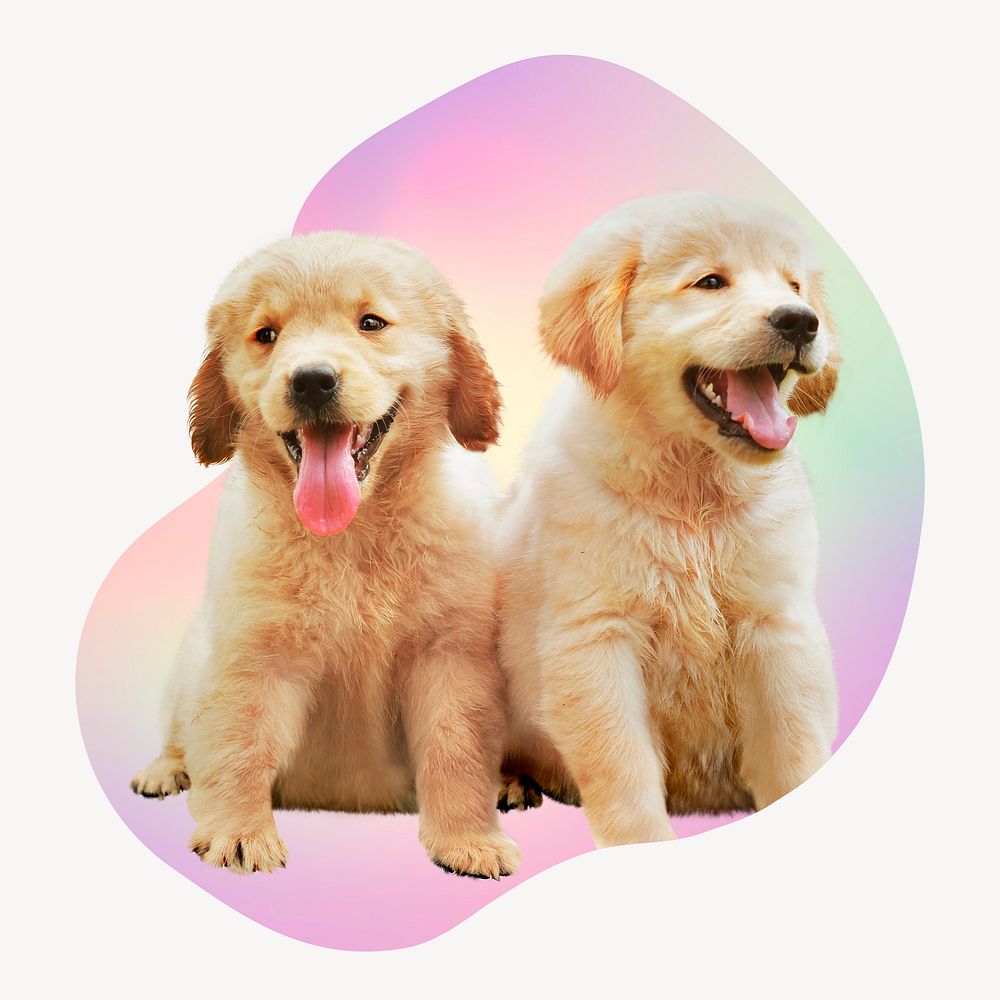 Cute golden retriever puppies on gradient abstract shape badge