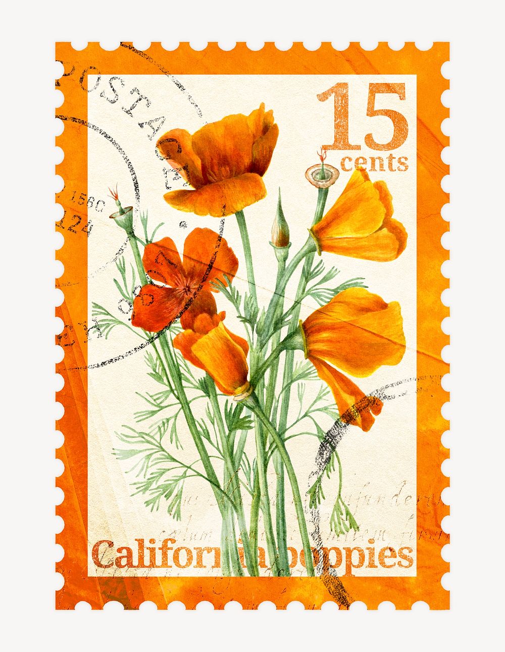 Aesthetic orange poppy flower postage stamp illustration