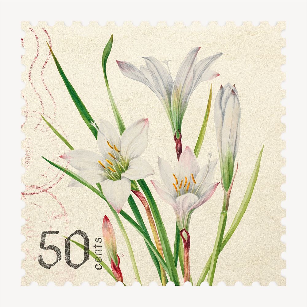Aesthetic floral postage stamp, white lily flower collage element psd