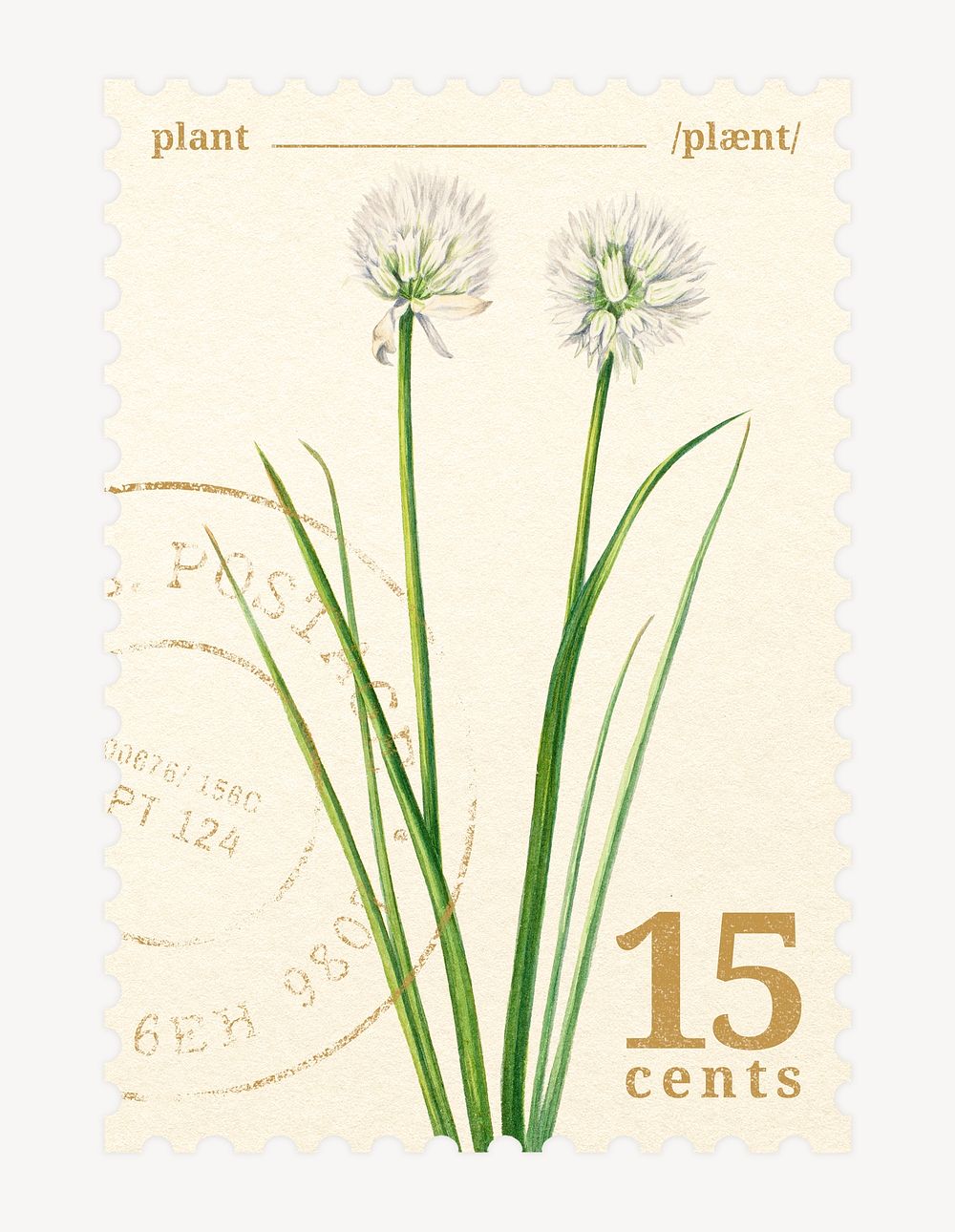 Aesthetic floral postage stamp, onion flower collage element psd