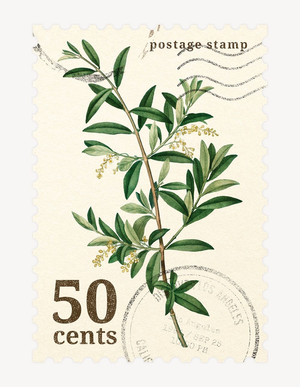 Aesthetic botanical postage stamp, olive branch collage element psd