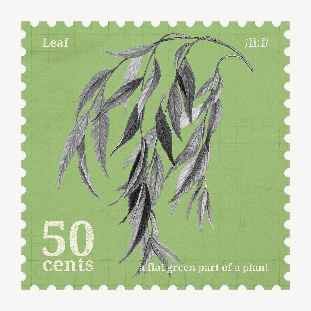 Aesthetic weeping willow leaf postage stamp, ephemera botanical collage element psd