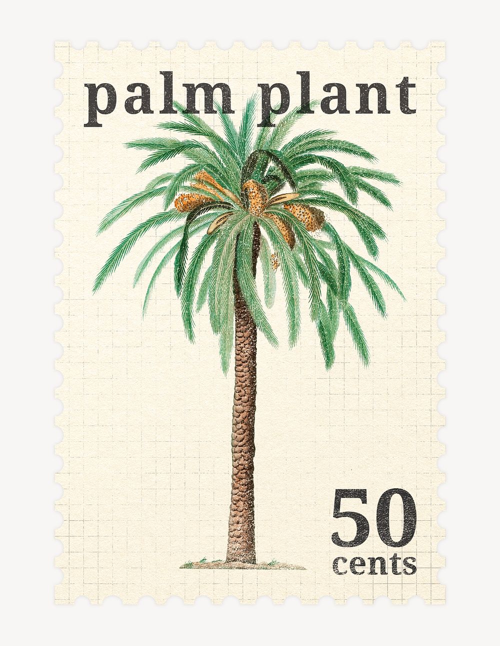 Aesthetic palm tree postage stamp, botanical illustration