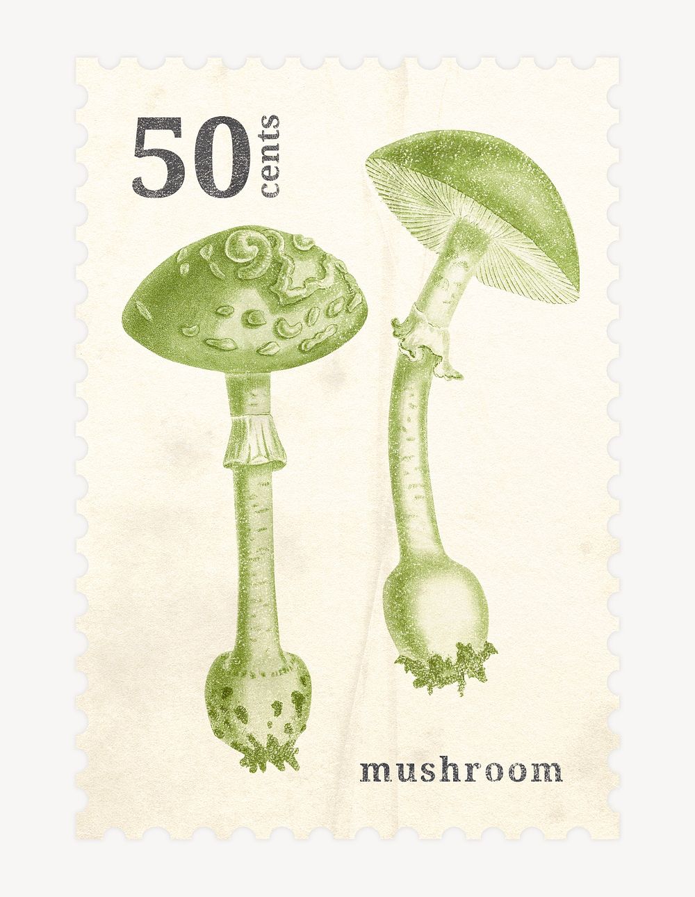 Aesthetic mushroom postage stamp illustration, remixed by rawpixel