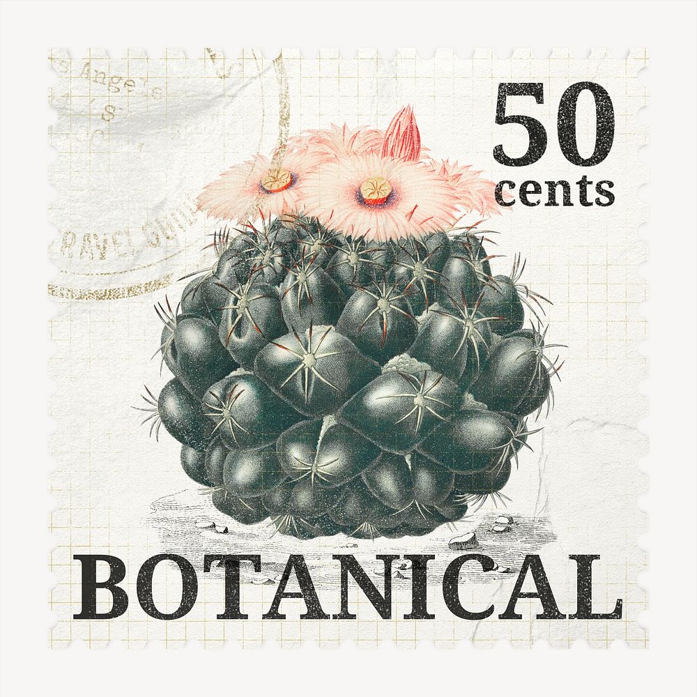 Aesthetic cactus postage stamp, ephemera botanical, collage element psd, remixed by rawpixel