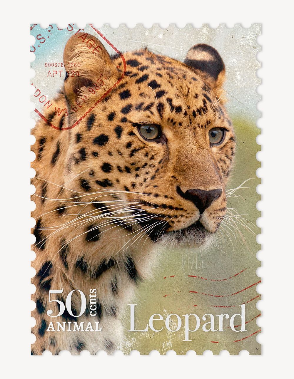 Leopard postage stamp, animal collage element psd
