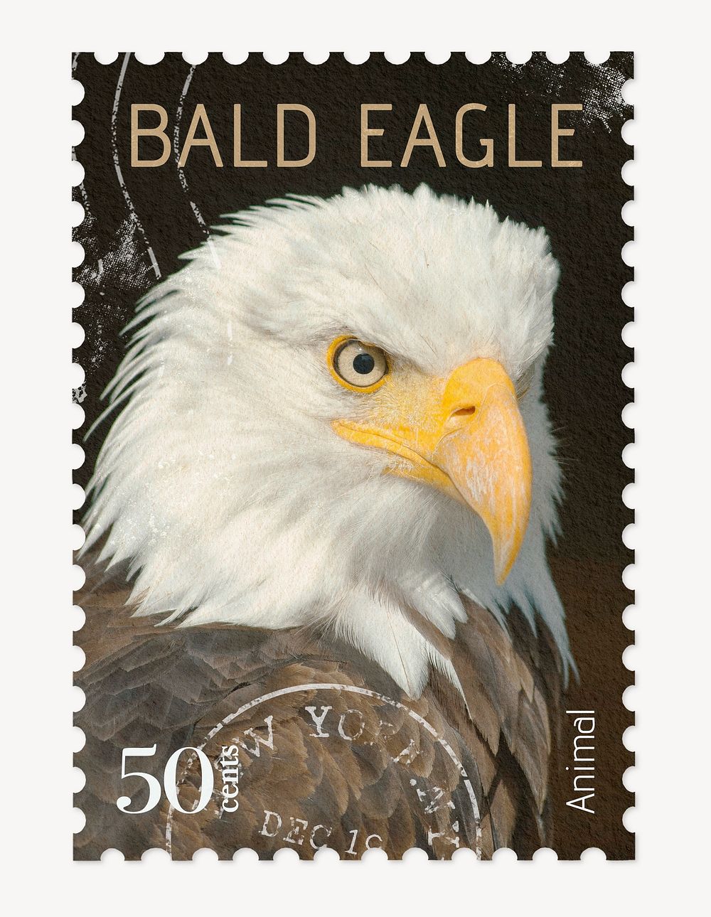 Bald eagle postage stamp, animal collage element psd