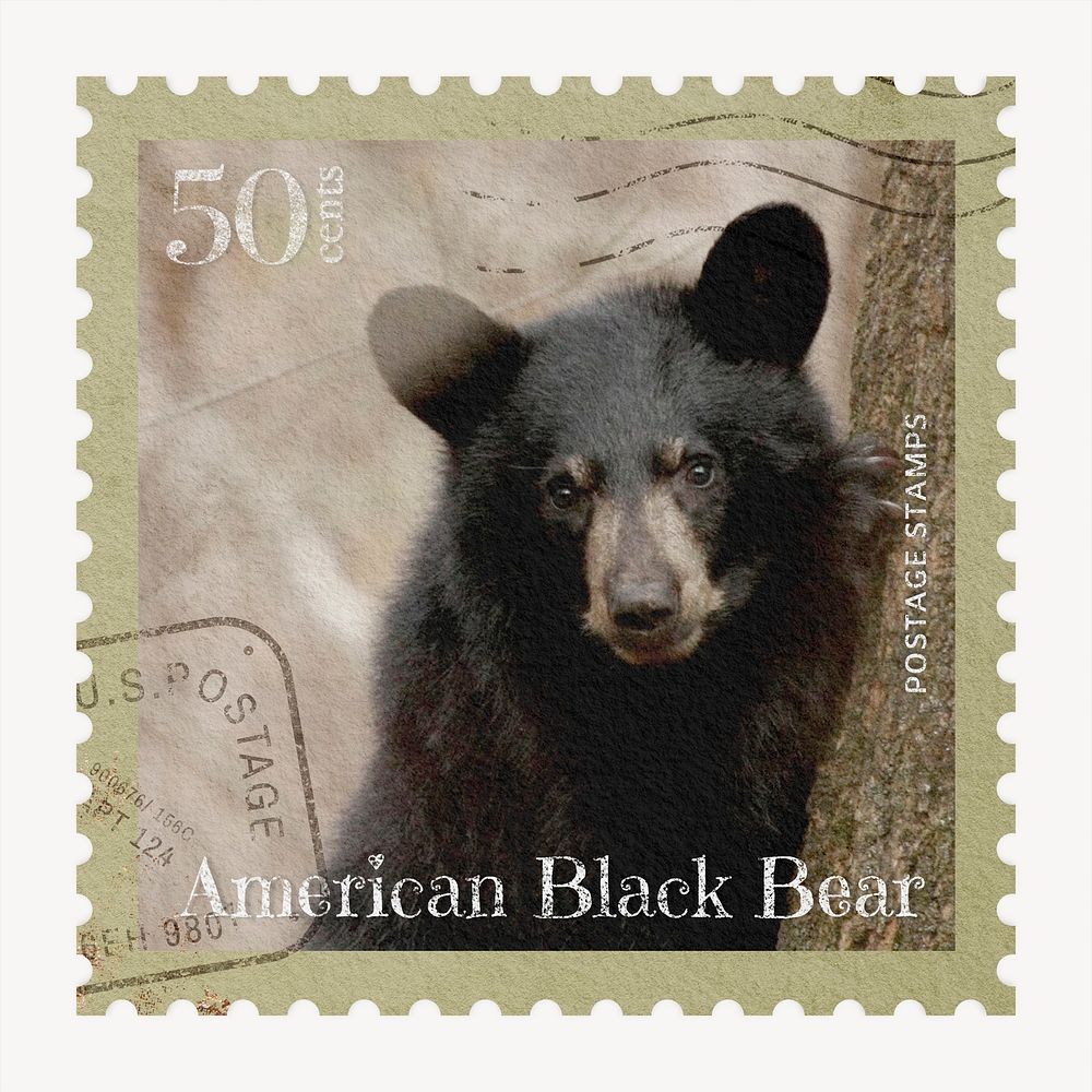 Black bear postage stamp, aesthetic animal graphic