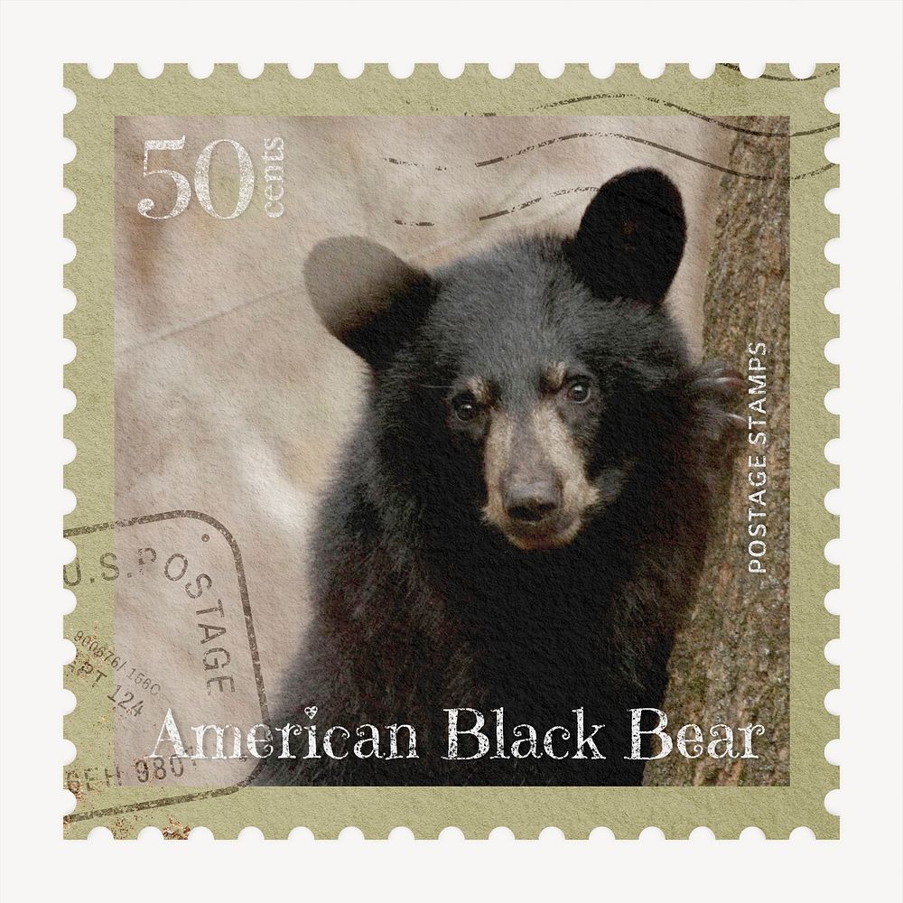 Black bear postage stamp, animal collage element psd