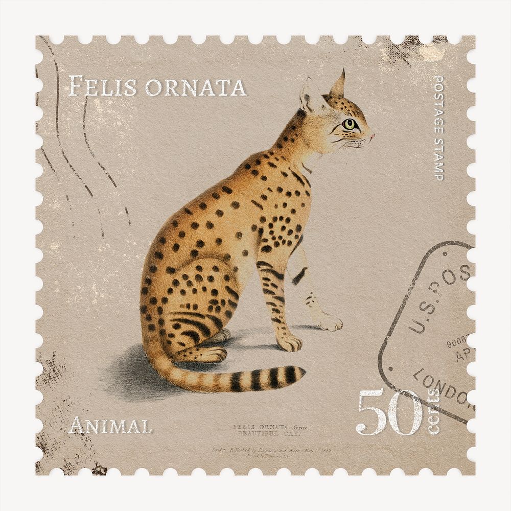 Wild cat postage stamp, ephemera collage element psd