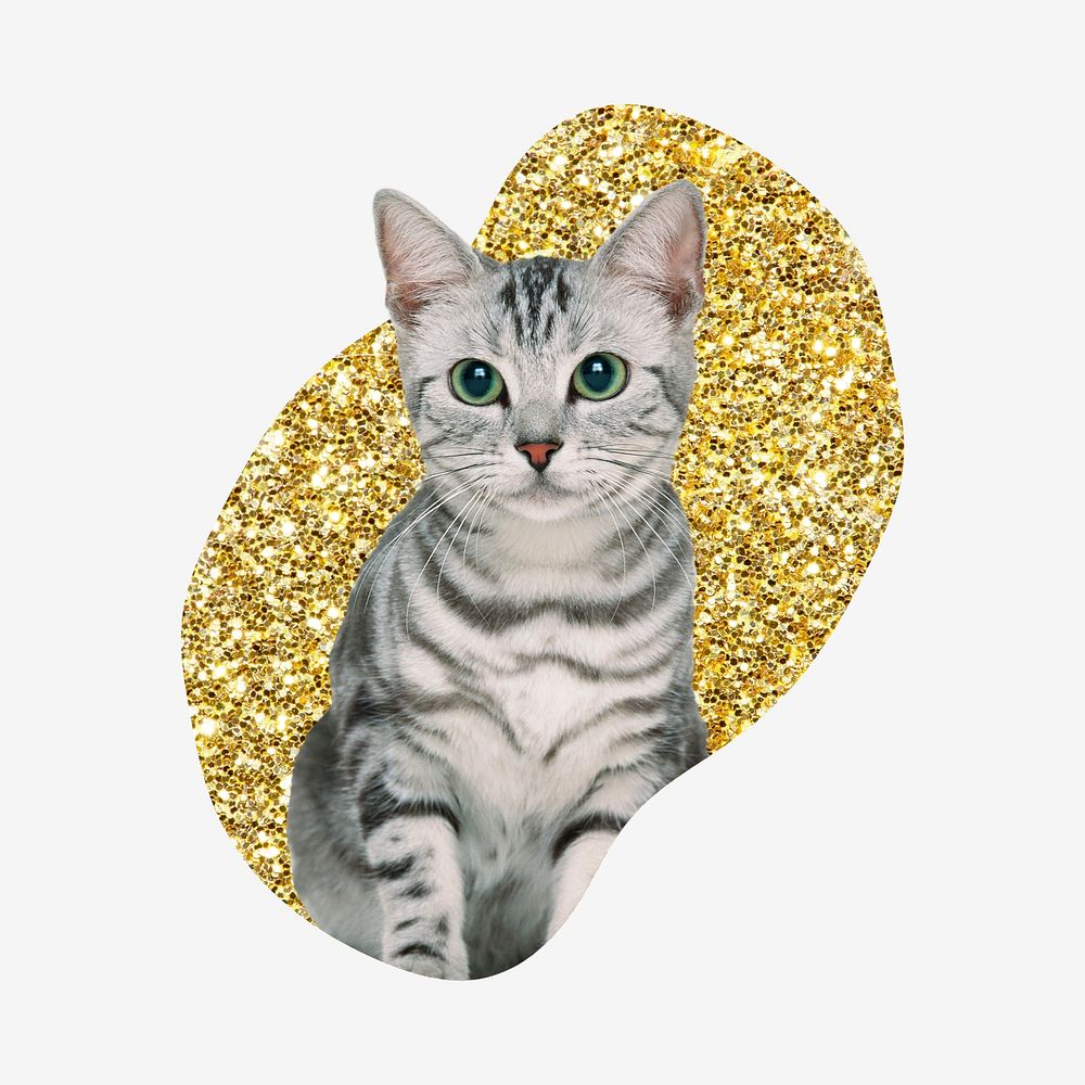 American shorthair cat, gold glitter blob shape badge