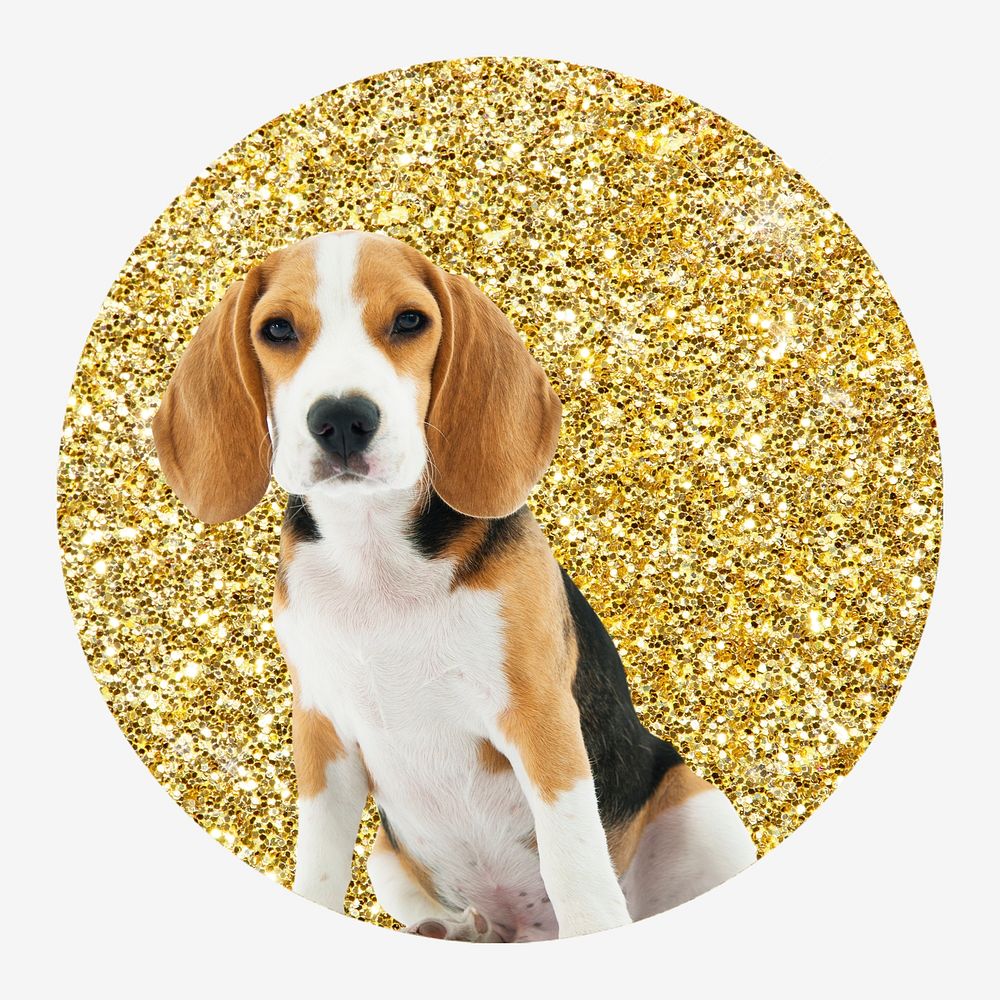 Beagle dog, gold glitter round shape badge