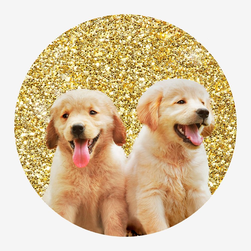Golden retriever puppies, gold glitter round shape badge