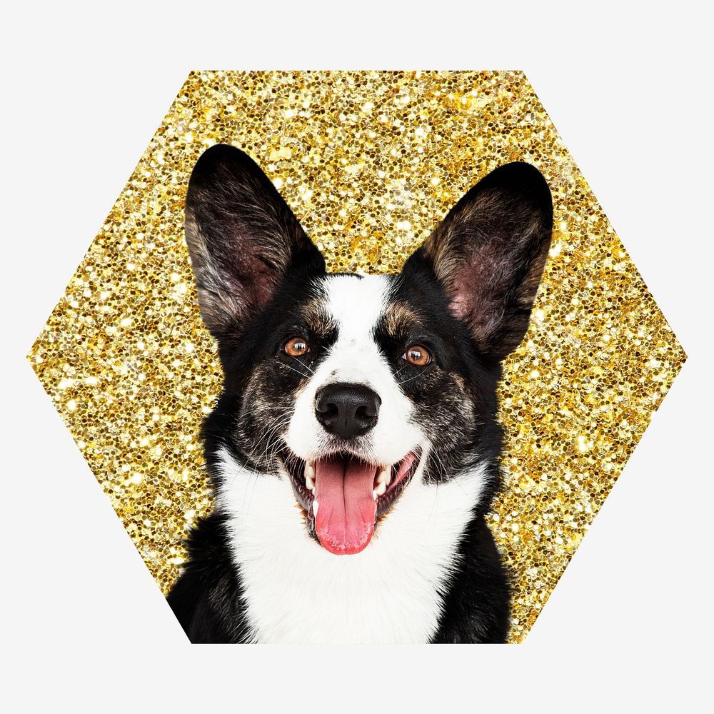 Welsh Corgi dog, gold glitter hexagon shape badge