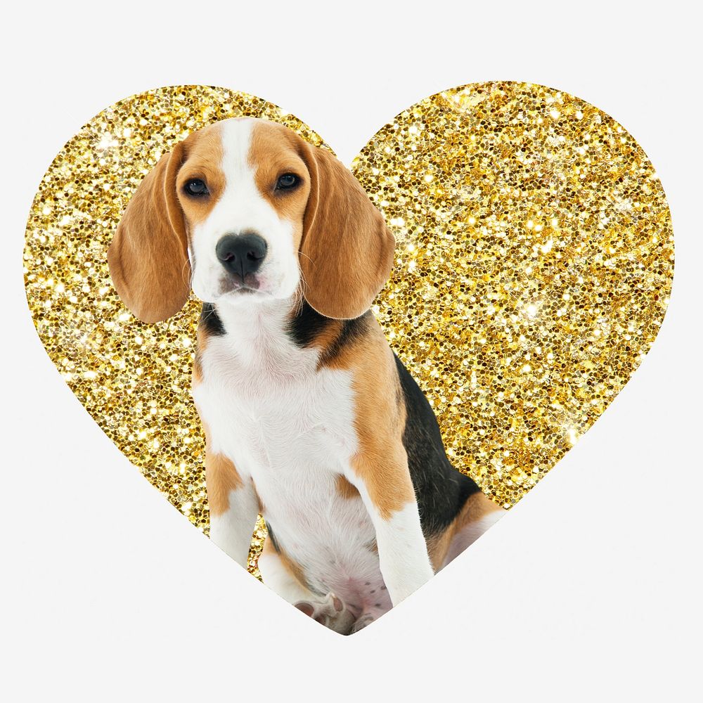 Beagle dog, gold glitter heart shape badge