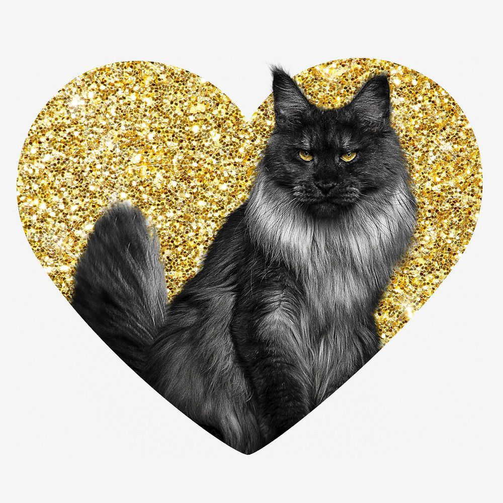 Angora cat, gold glitter heart shape badge