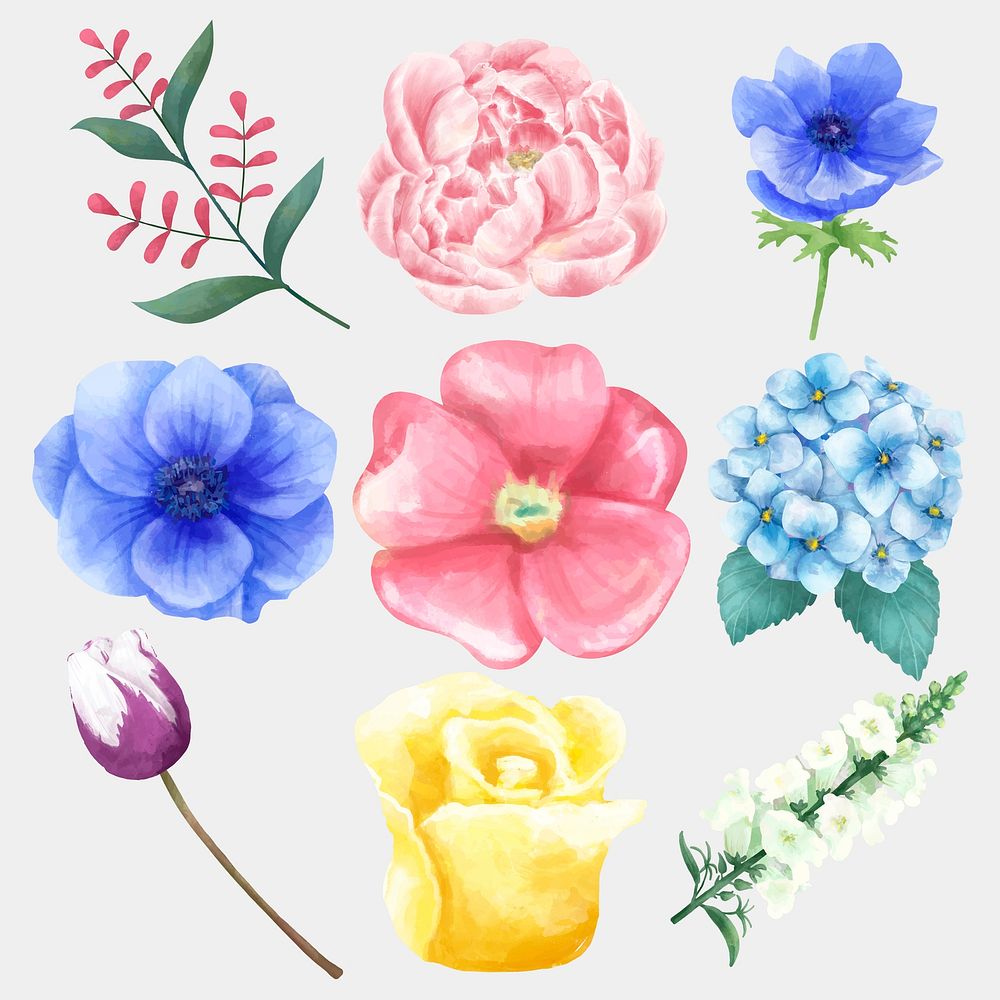 Watercolor flower vector drawing clipart set