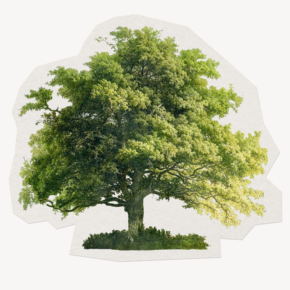 Green tree sticker, paper craft | Premium Photo - rawpixel