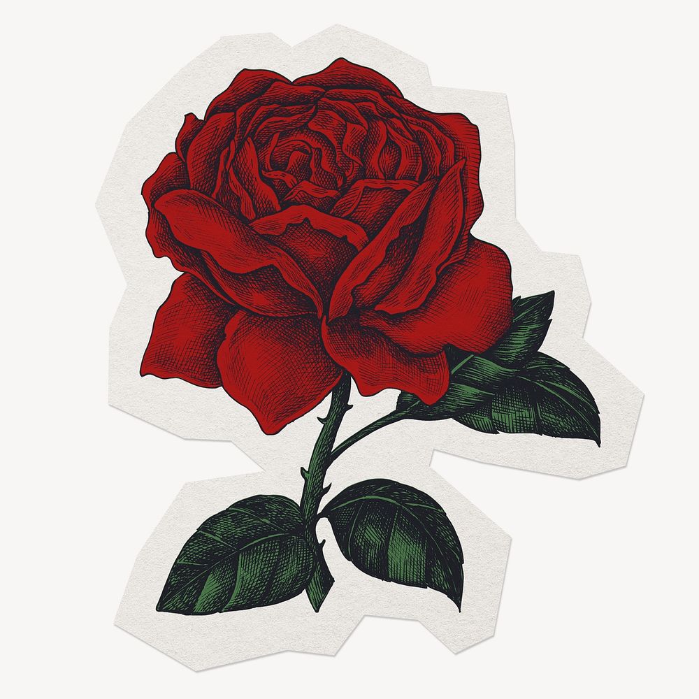 Rose illustration sticker, retro illustration