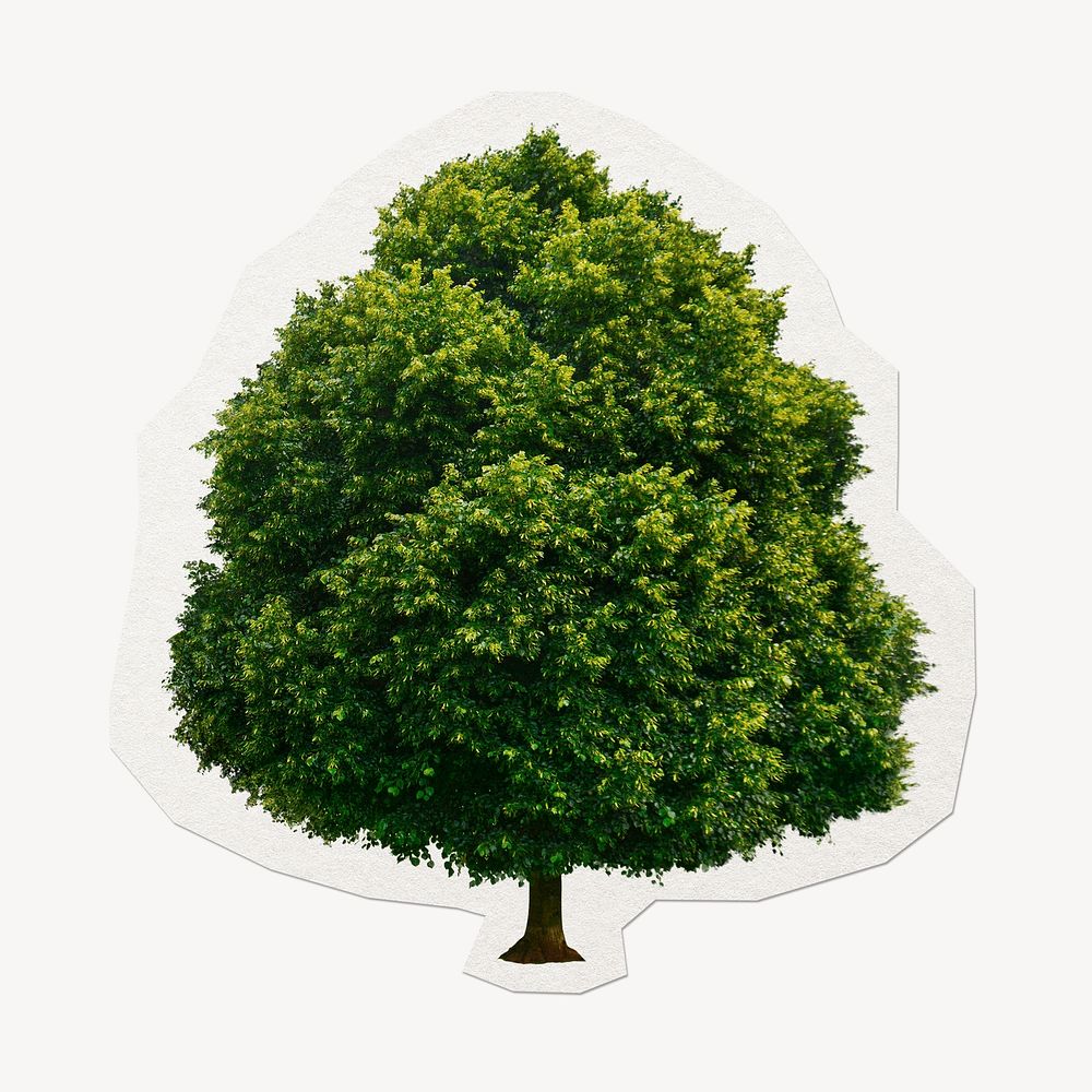 Green tree sticker, paper craft collage element