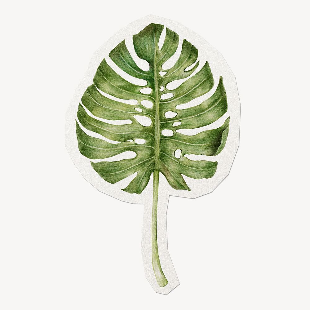 Monstera leaf sticker collage element, paper craft clipart