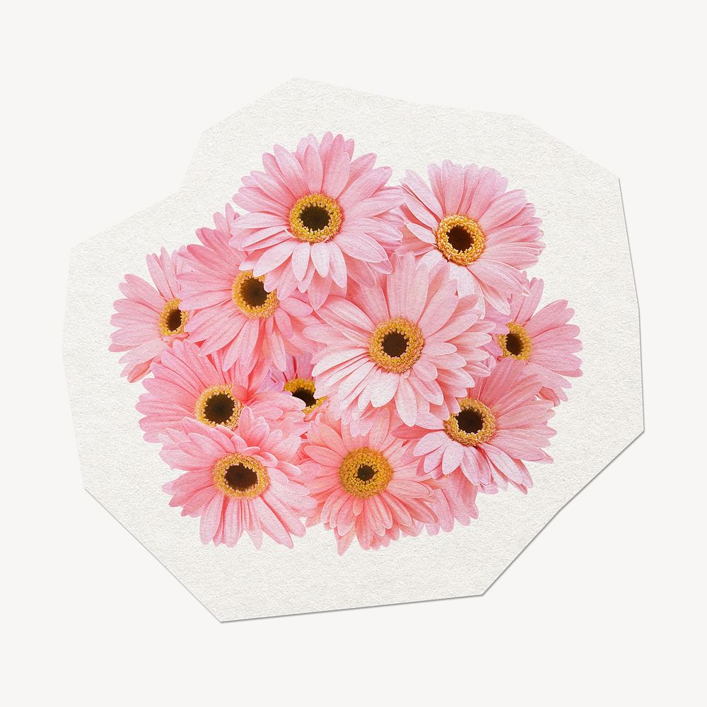 Pink flower sticker, natural daisy object