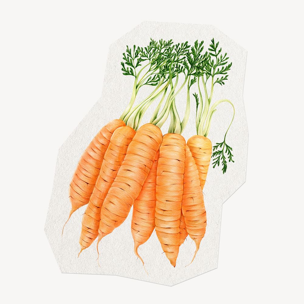 Carrot, vegetable sticker collage element, paper craft clipart