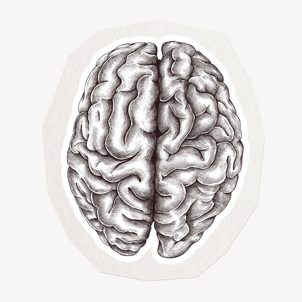 Brain illustration clipart sticker, paper craft collage element
