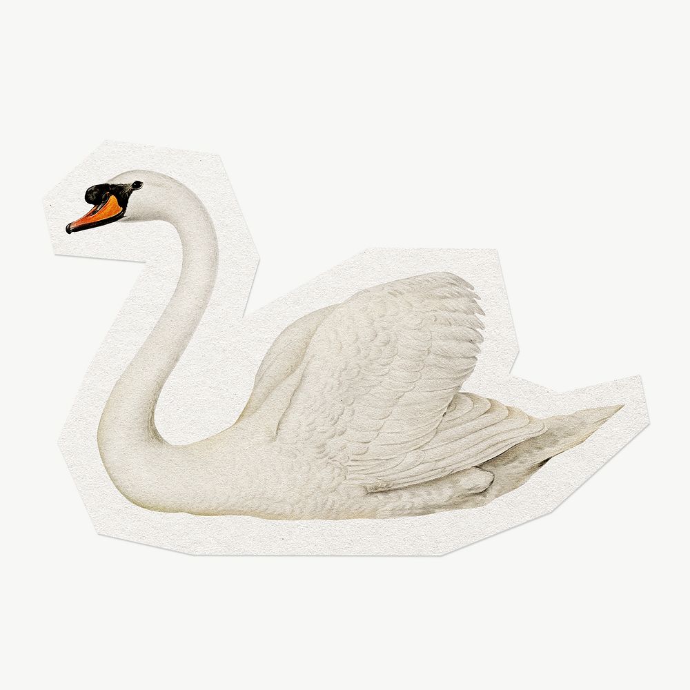 White swan clipart sticker, paper | Premium Photo - rawpixel