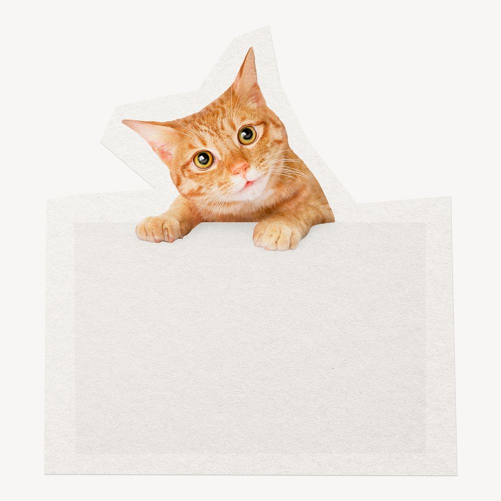 Pet cat, blank placard clipart sticker, paper craft collage element