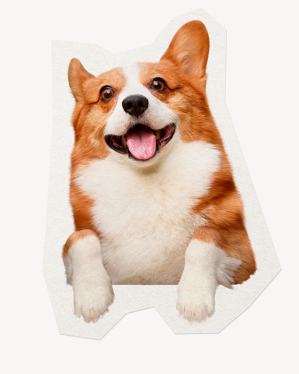 Cute Corgi dog clipart sticker, paper craft collage element
