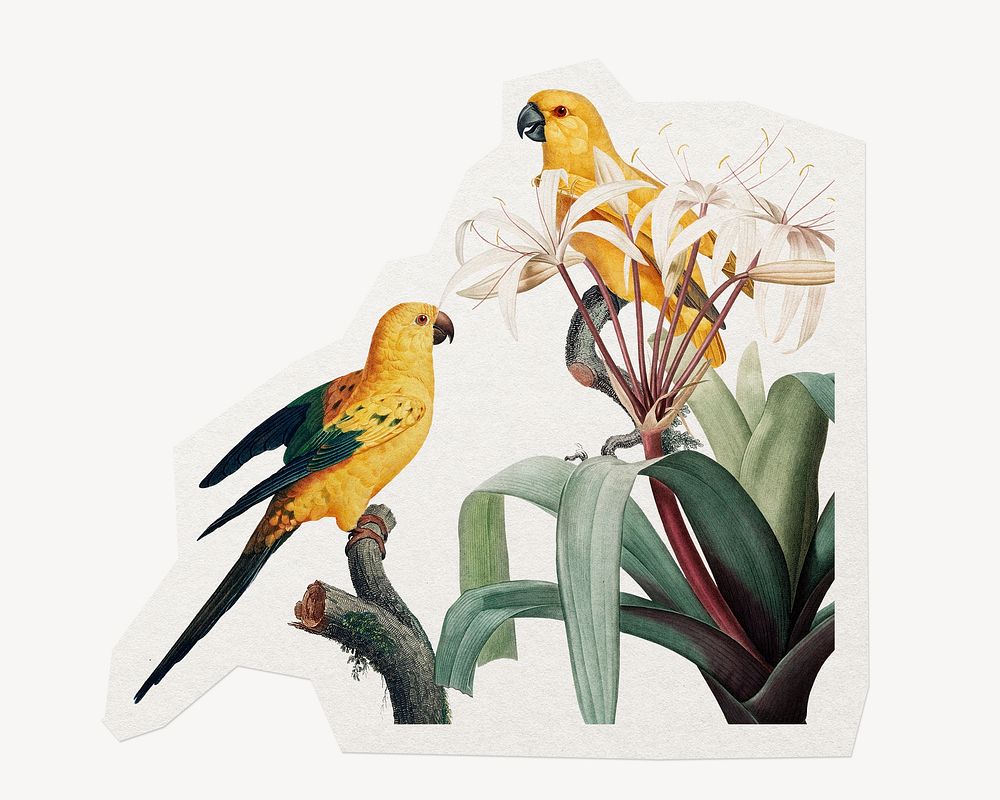 Beautiful bird sticker, sun parakeet with botanical illustration