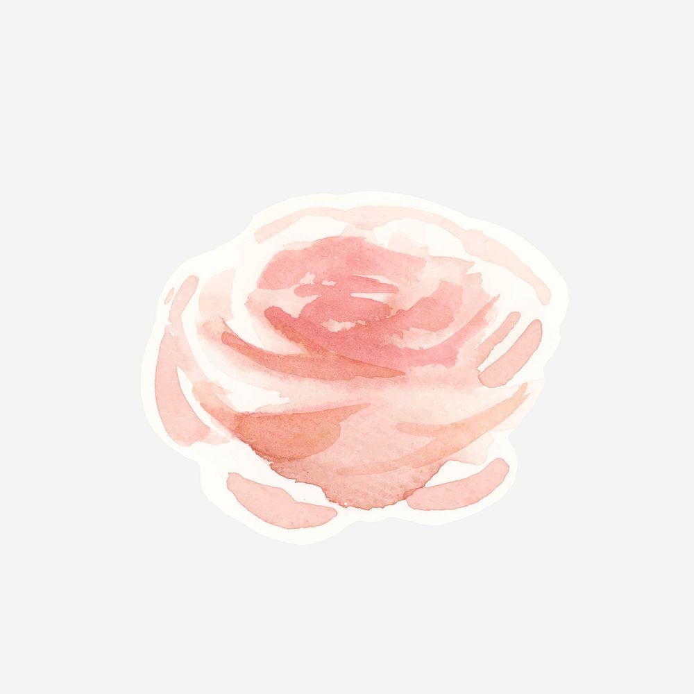 Classic pastel rose vector hand drawn watercolor flower