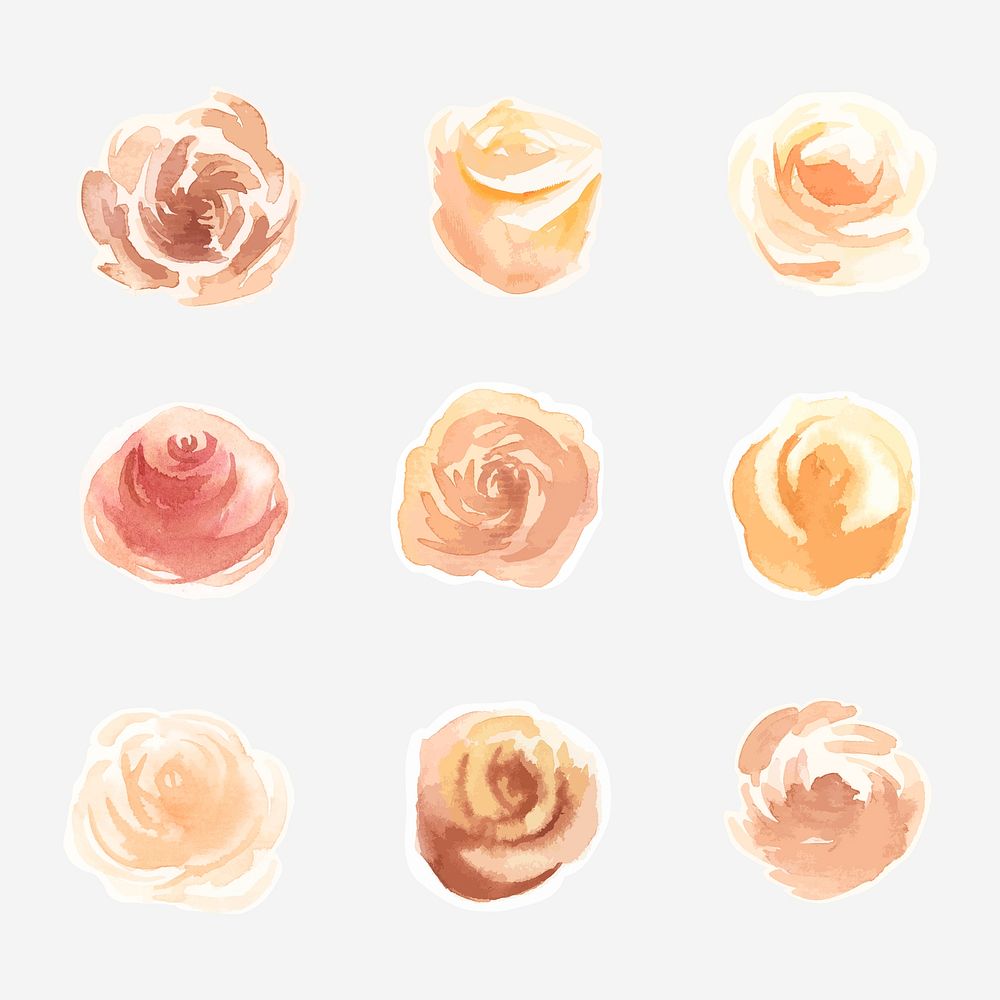 Hand drawn roses watercolor psd decorative set